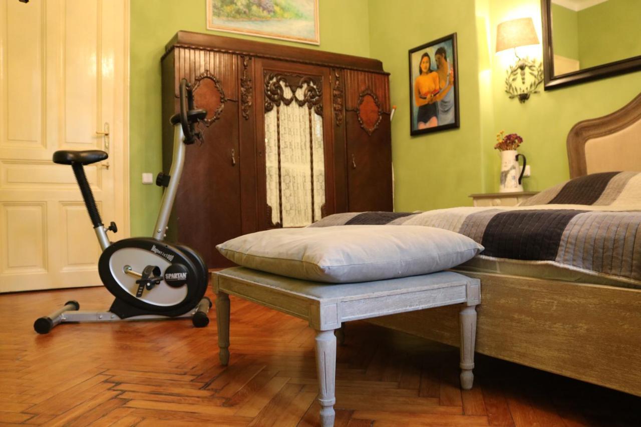 Retro Big Apartment With Two Balconies And Lift Karlovy Vary Eksteriør bilde